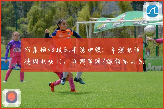 布莱顿vs狼队半场回顾:辛谢尔伍德闪电破门,海鸥军团2球领先占先机
